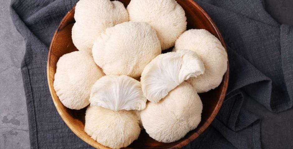 mindbooster és focus gombakeverék cikk kratomworld akció koncentráció fókusz