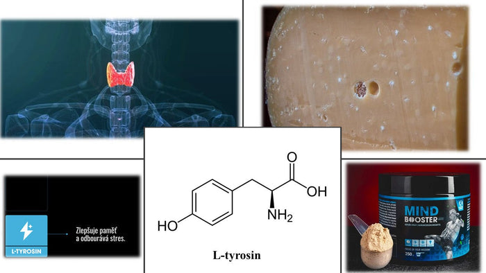 L-tirozin aminosav – kratomworld