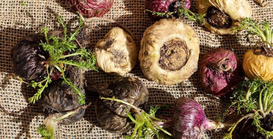 adaptogének a stresszhez, energiához és immunitáshoz kratomworld cikk