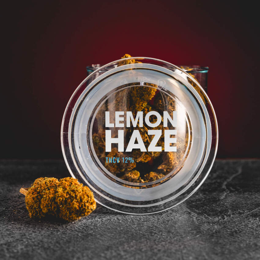 THV Virágok Lemon Haze 12%