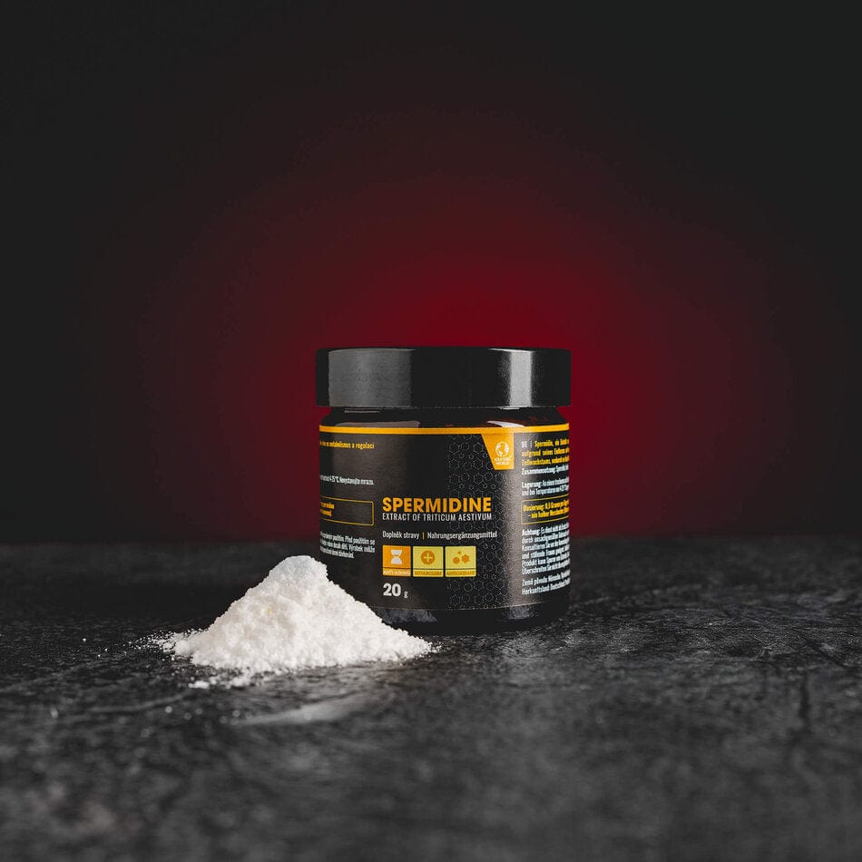 Spermidine 20g