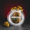 10-OH HHC Flowers Mimosa 10% Kratom World Quality 10-OH HHC Kiárusítás Prágai Virágok hatások Prágai Brno Ostrava